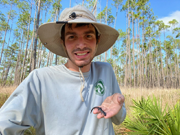 frosted flatwoods salamander