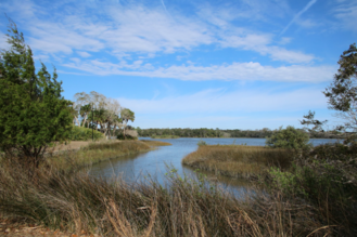 A view of the water from Princess Place Preserve