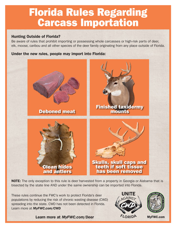 florida hunting regulations