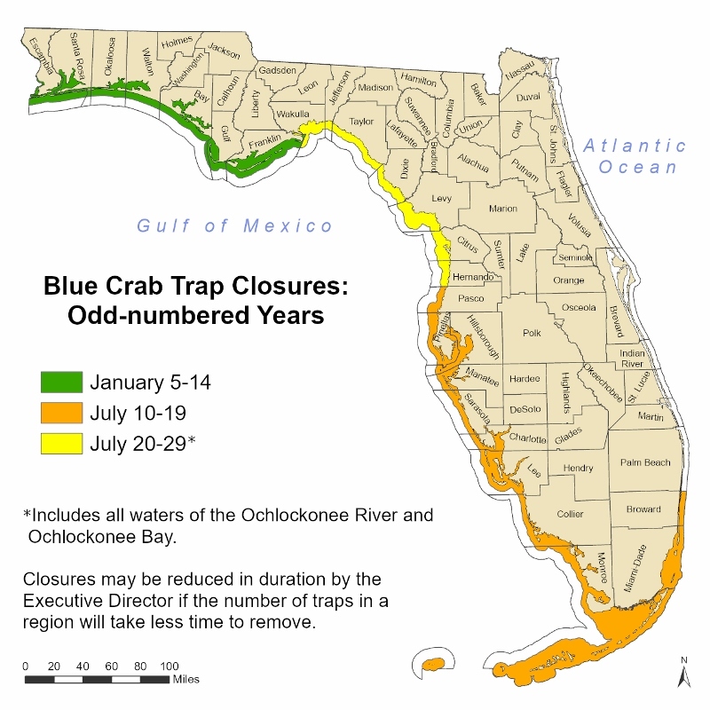 blue crab trap zone odd years