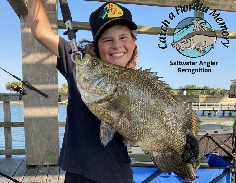 tripletail caught by William Lux