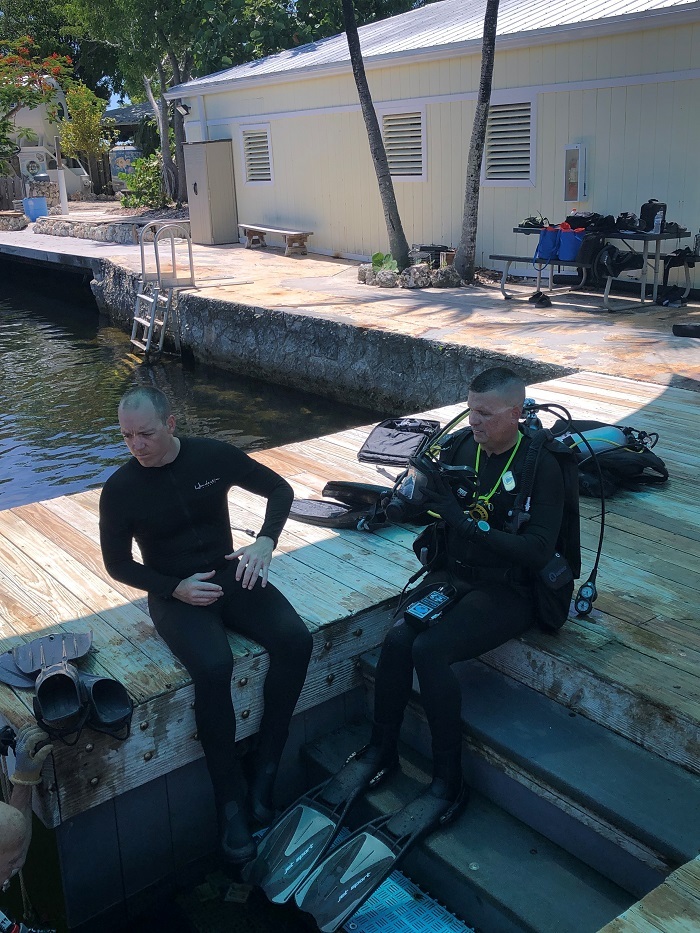 dive training