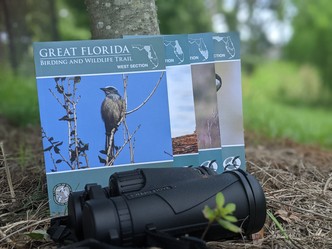 Four birding trail guides lean against a tree with a pair of binoculars in the foreground
