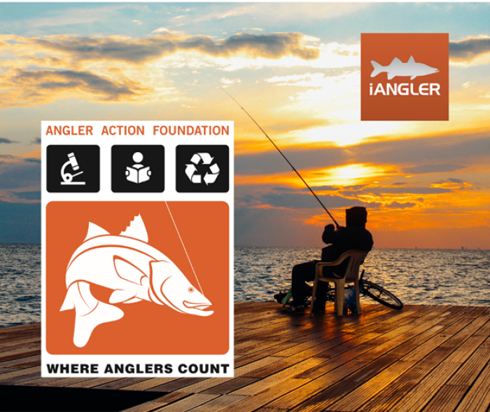 iangler logos