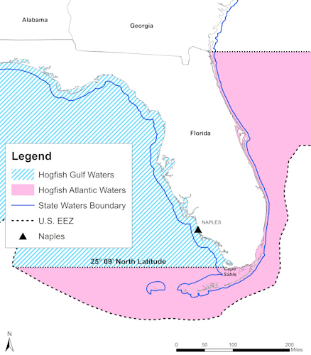 Hogfish map