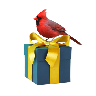 red cardinal sitting atop a blue package with gold ribbons