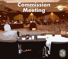 Commission Meeting