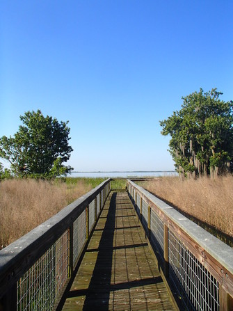 A boardwalk at Three Lakes Wildlife Management Area leads out to a marsh