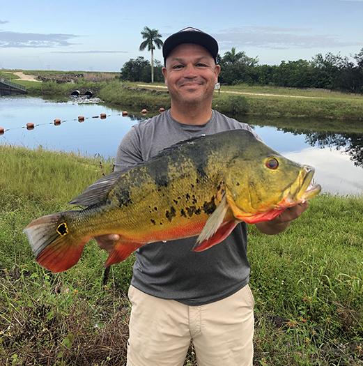 Angler with State Record Butterfly Peacock Bass