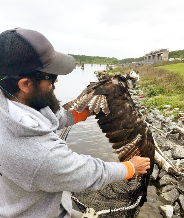 Inside Job February Edition