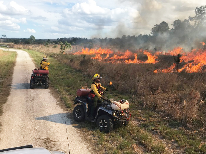 prescribed fire
