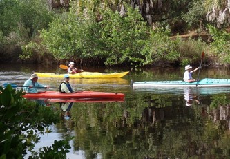 Kayakers paddle down a serene river