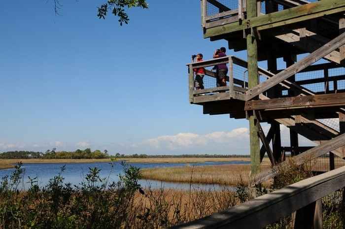 people on observation tower