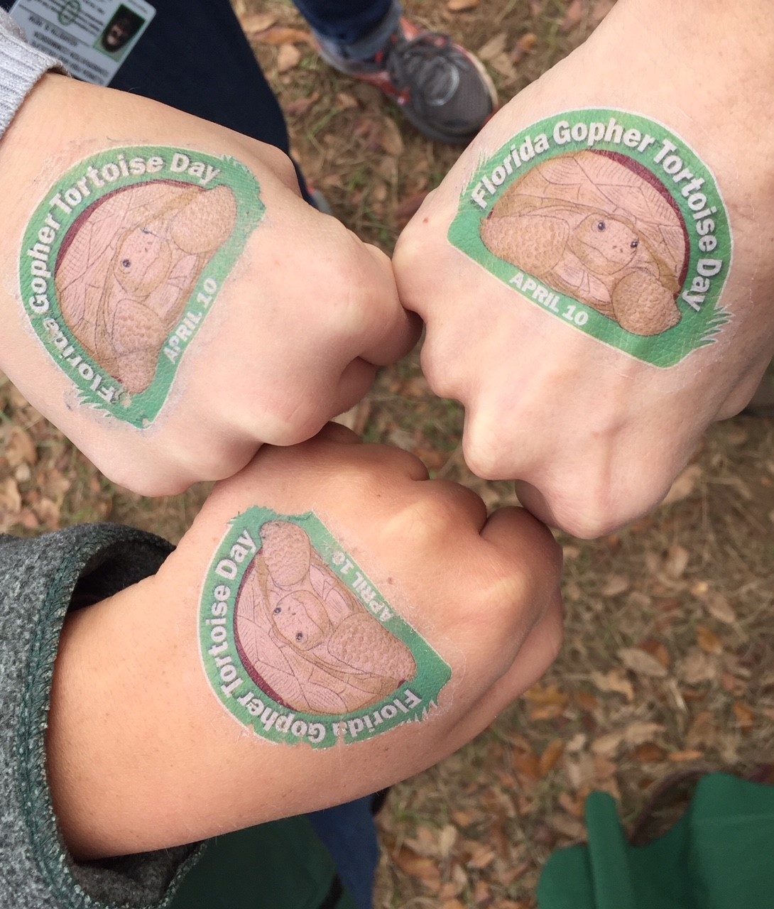 Hands with Gopher Tortoise Day Temporary Tattoo