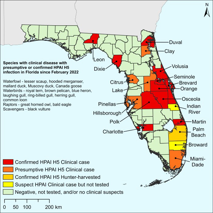 avian flu map