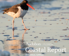 2021 Audubon Florida Coastal Report Cover