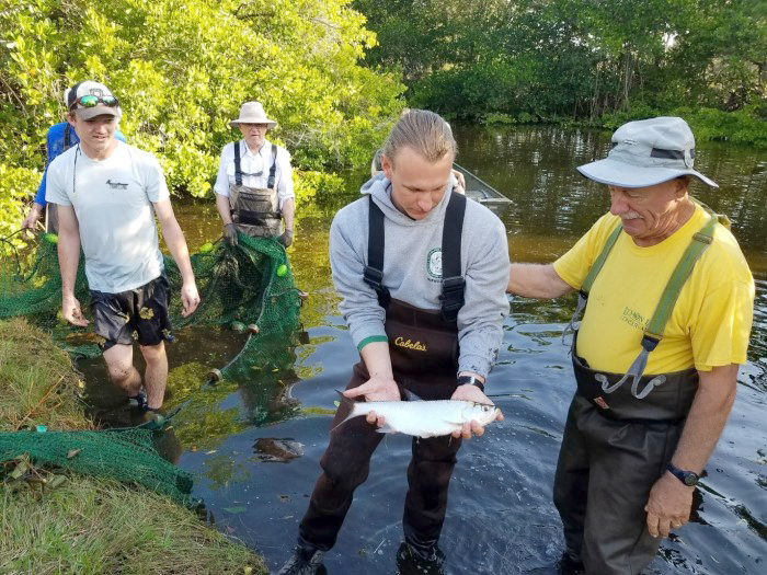 tarpon research