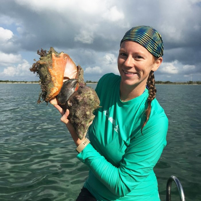 horse conch research