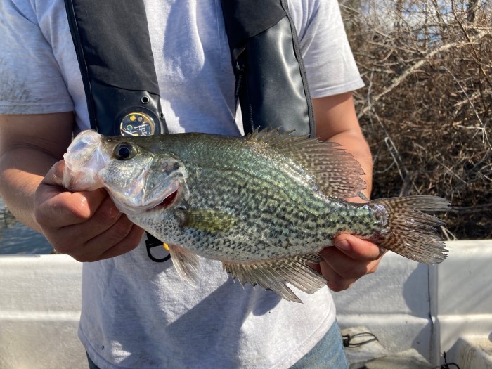 angler holding crappie