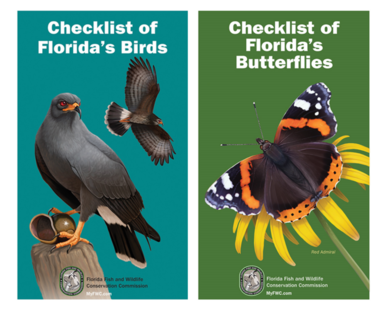 New cover designs for Florida's checklists of birds and butterflies