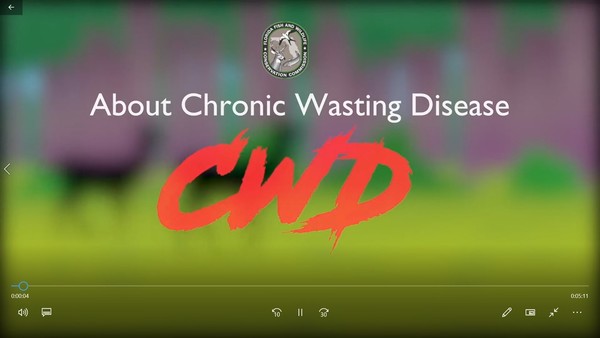 about cwd video