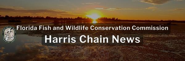 Florida Fish and Wildlife Conservation Commission Harris Chain of Lakes Newsletter