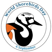 world shorebird day