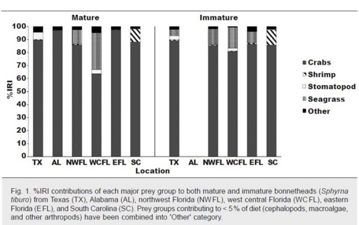 bonnethead graph