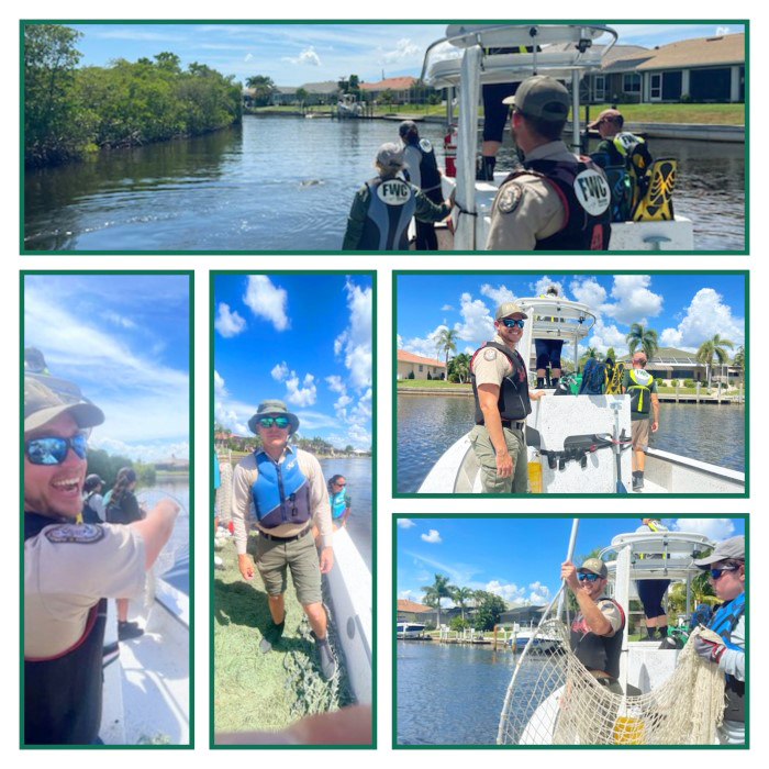 manatee rescue attemp