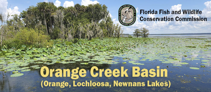 orange creek basin head