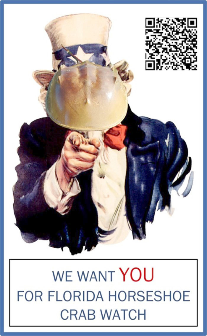 crab recruitment poster