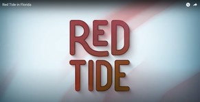 2022 Red Tide Video
