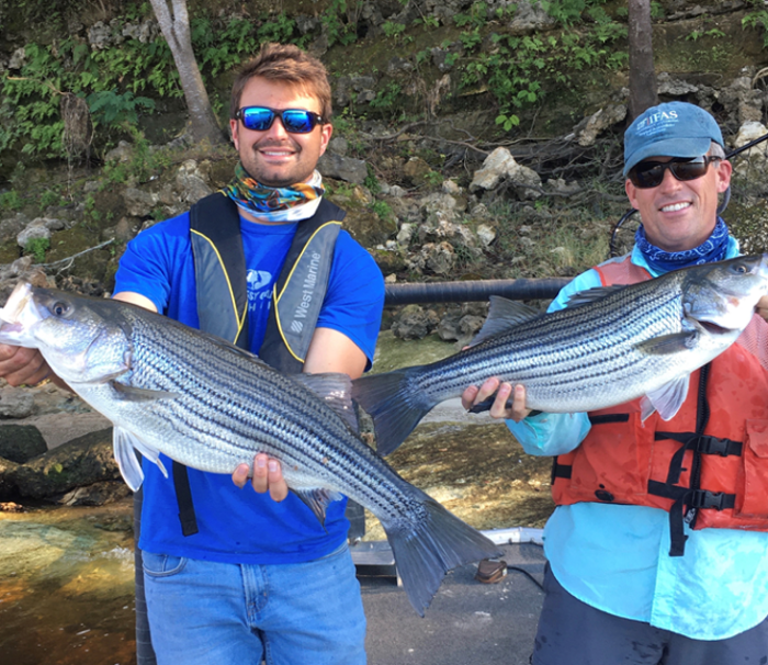 FWC to host public meeting on proposed changes to striped bass