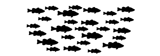 A typical lake's bass population