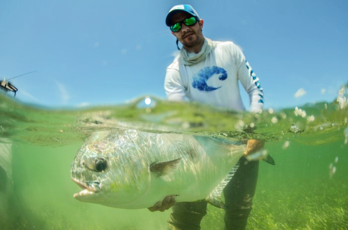 permit being studied