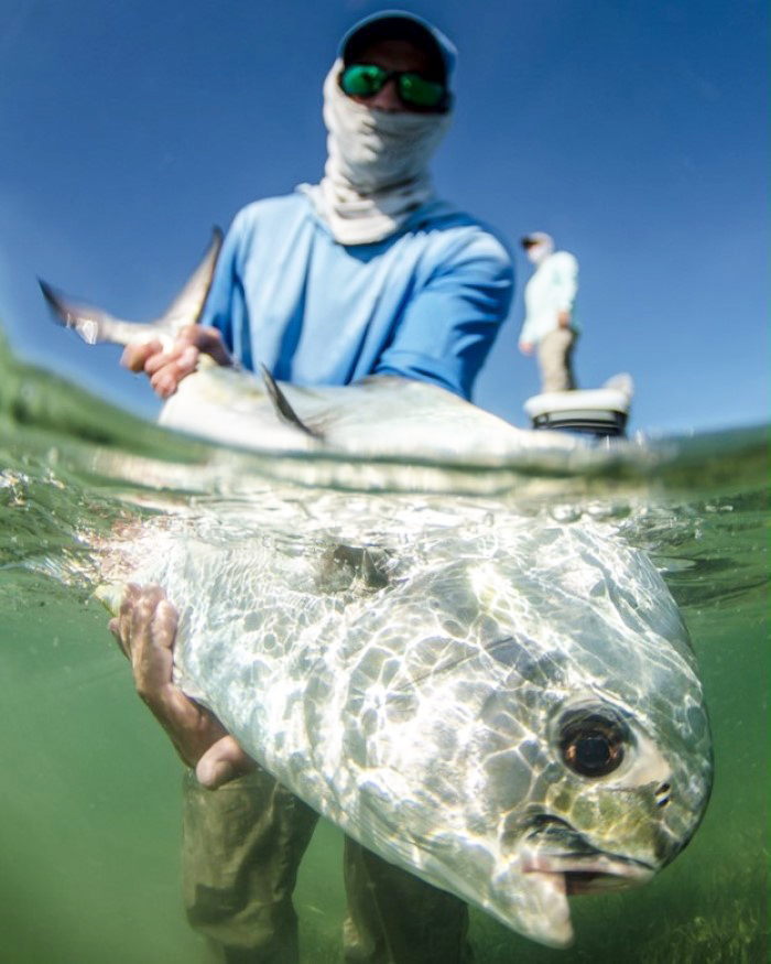 permit being studied