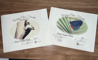 Certificates showing two pileated woodpeckers (black, white and red) on the side of a tree, and a blue and red atala butterfly on a leaf above larvae.