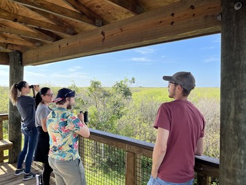 Four people stand on a covered wooden viewing platform gazing across a green sawgrass marsh and into a blue sky.