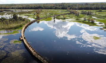 A wooden boardwalk curves over the blue waters of a wetland dotted with islands of grass and trees, and the reflections of clouds.
