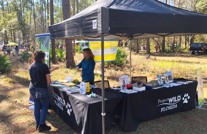 festival booth