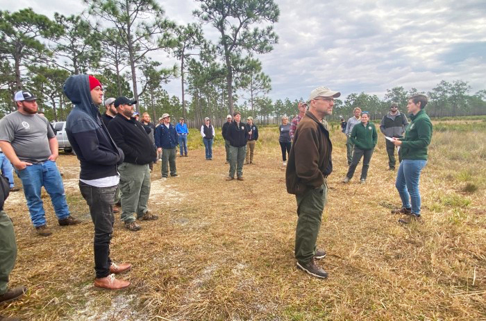 viewing launch