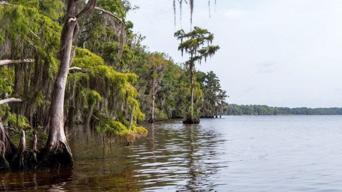 st. johns river