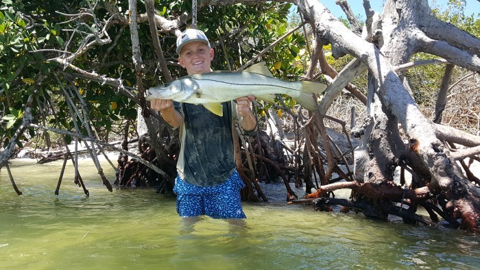 youth angler with snook in mangroves