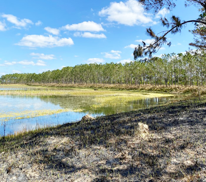 fishing trail lake