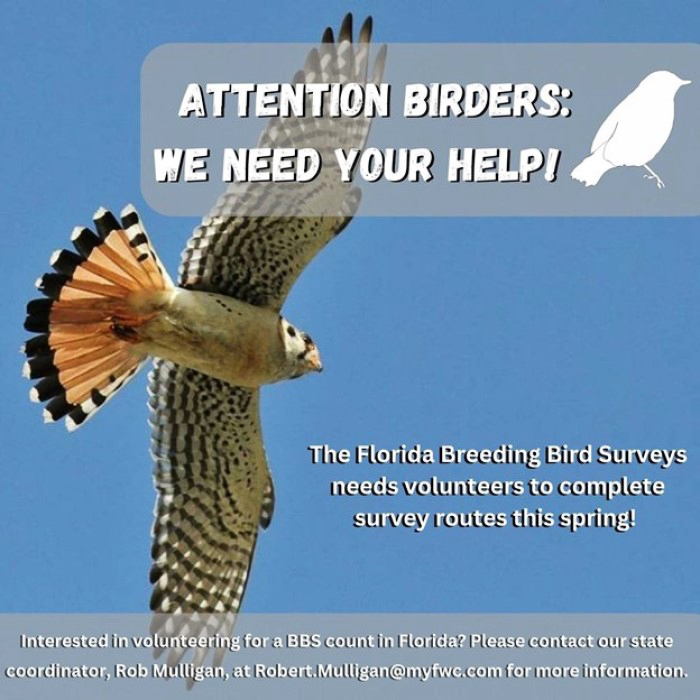 bird survey graphic