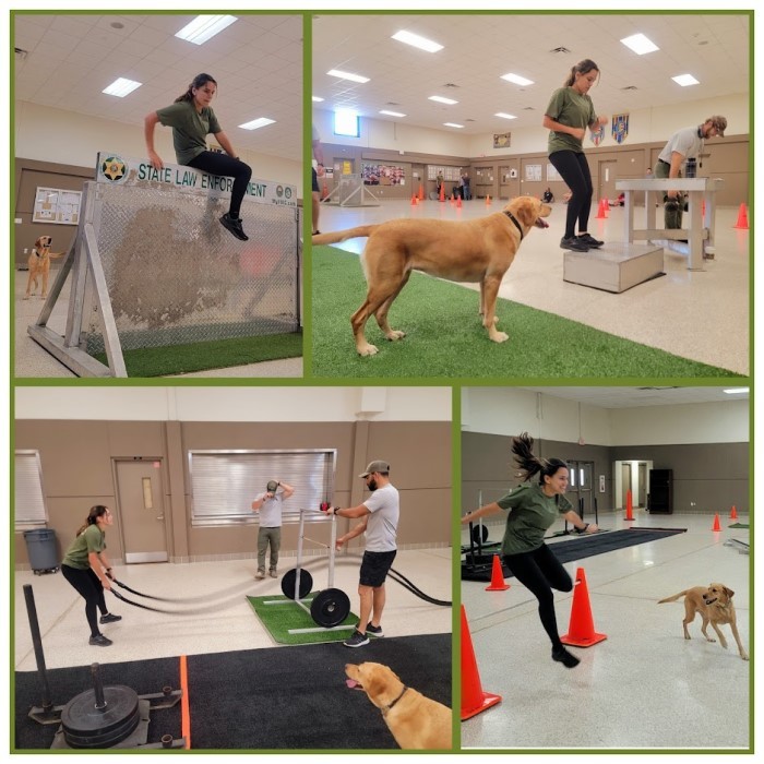 K9 workout