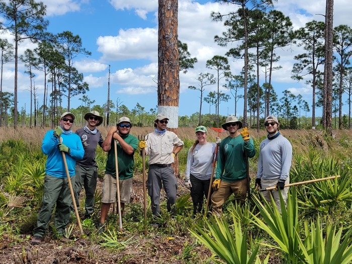 south region staff clearing