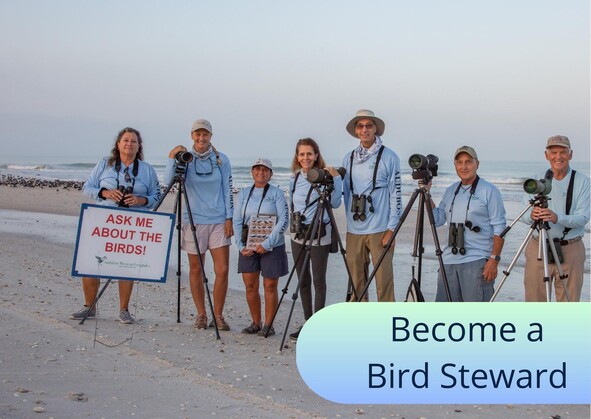 Bird stewards on a beach. Photo by Jean Hall