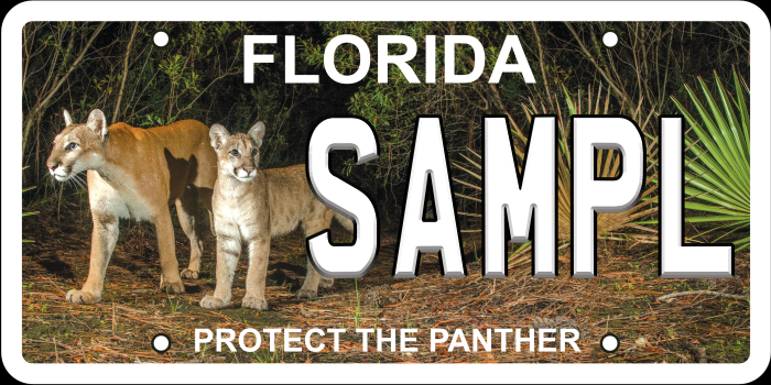 new panther license plate