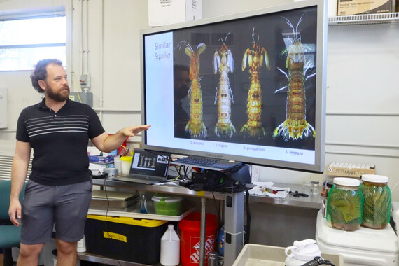 invertebrate workshop